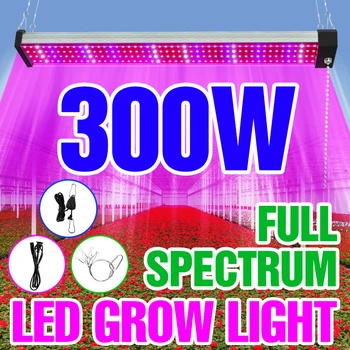 LED Phytolamp Visą Spektrą Augti Šviesos Kambarinių Augalų LED Augimo Šviesos Gėlių Daigų Hydroponics Šiltnamio efektą sukeliančių Palapinė Fito Lempos