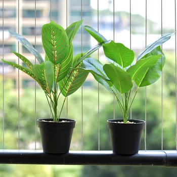 Didelis Lapų Zen Sparnuotosios Aukštos kokybės Modeliavimas Žalieji Augalai Namuose Bonsai Apdailos Office Viešbutis Dekoratyviniai Augalai vazonuose