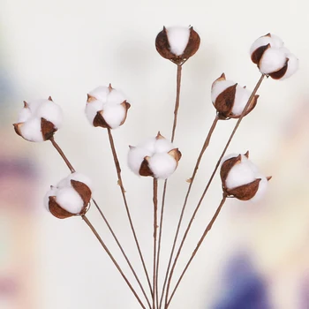 10vnt/daug Džiovintų Augalų Dirbtinio Medvilnės Gėlių Naujas Modeliavimo Baltos Medvilnės Gėlių Šventosios Poezijos Stiliaus Vestuvinė Dekoracija Namuose