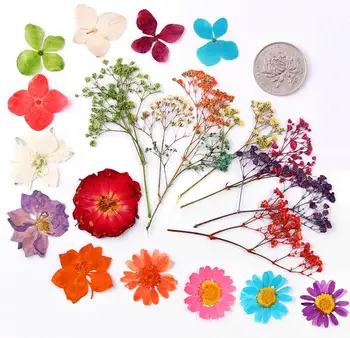 100vnt Sumaišyti Paspaudus Natūralių Džiovintų Gėlių Užpildas Augalų Herbariumas Papuošalai Atvirukas Žymą Telefono dėklas Pakvietimo, 